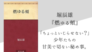 19年の記事一覧 純文学のすゝめ