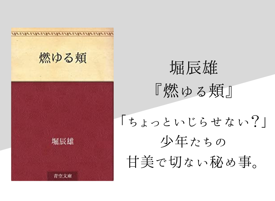 堀辰雄 燃ゆる頬 のあらすじ 内容解説 感想 純文学のすゝめ