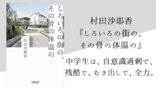 芥川龍之介 蜃気楼 のあらすじと内容解説 感想 純文学のすゝめ